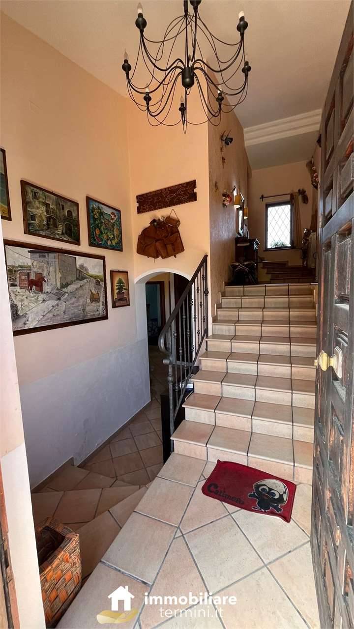  - foto 4