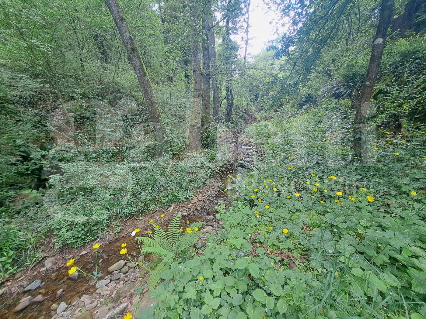  - foto 7