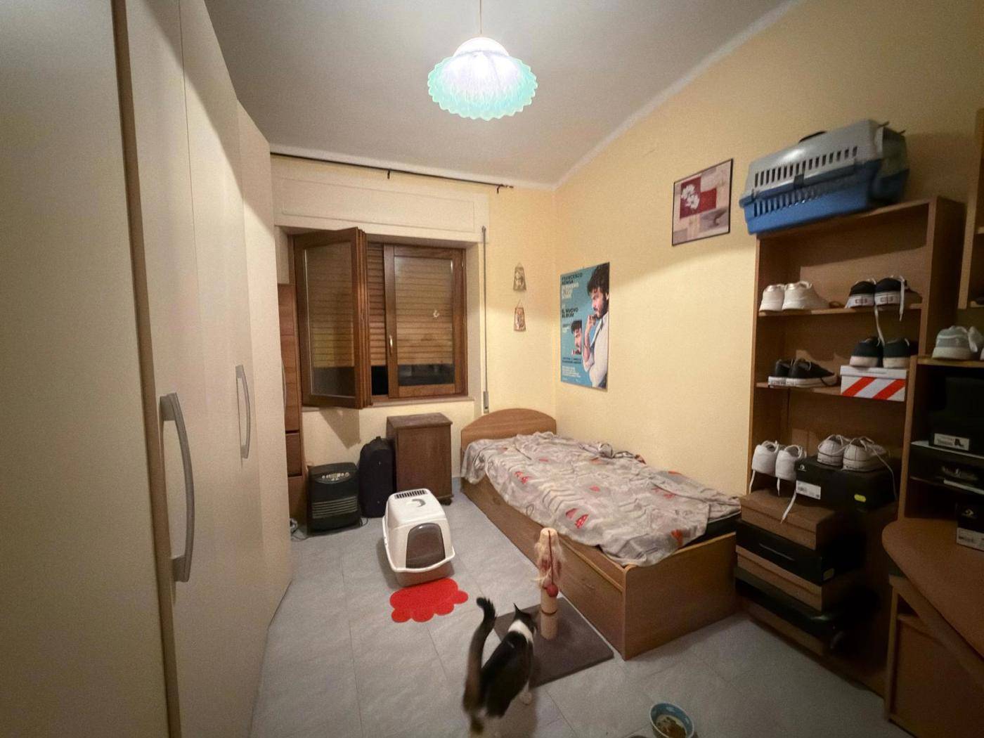  - foto 6