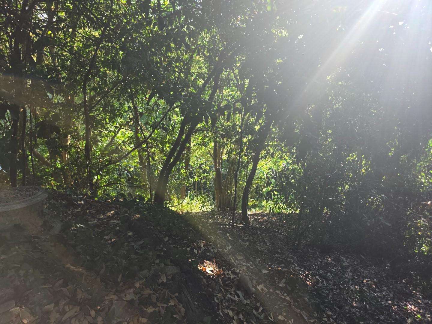  - foto 24