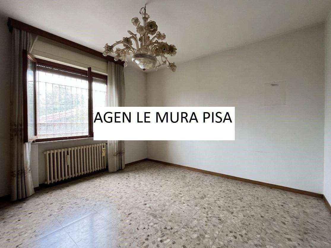  - foto 19