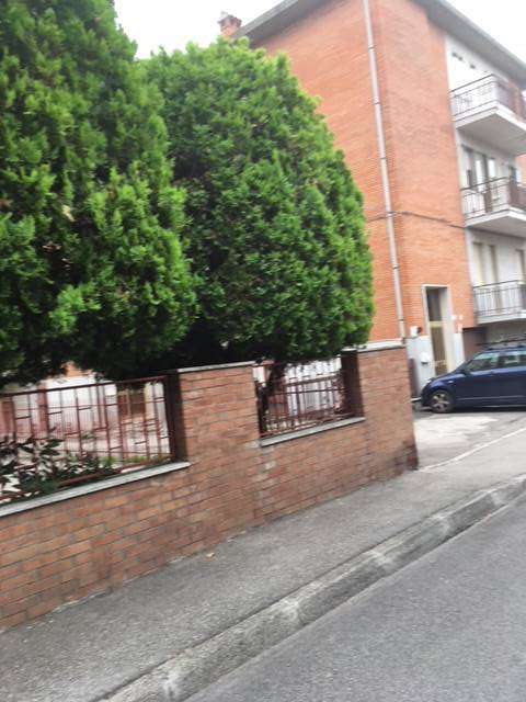  - foto 4