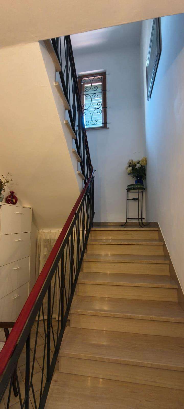  - foto 11