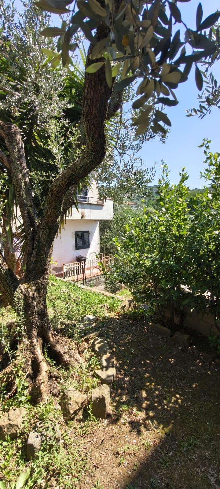  - foto 13