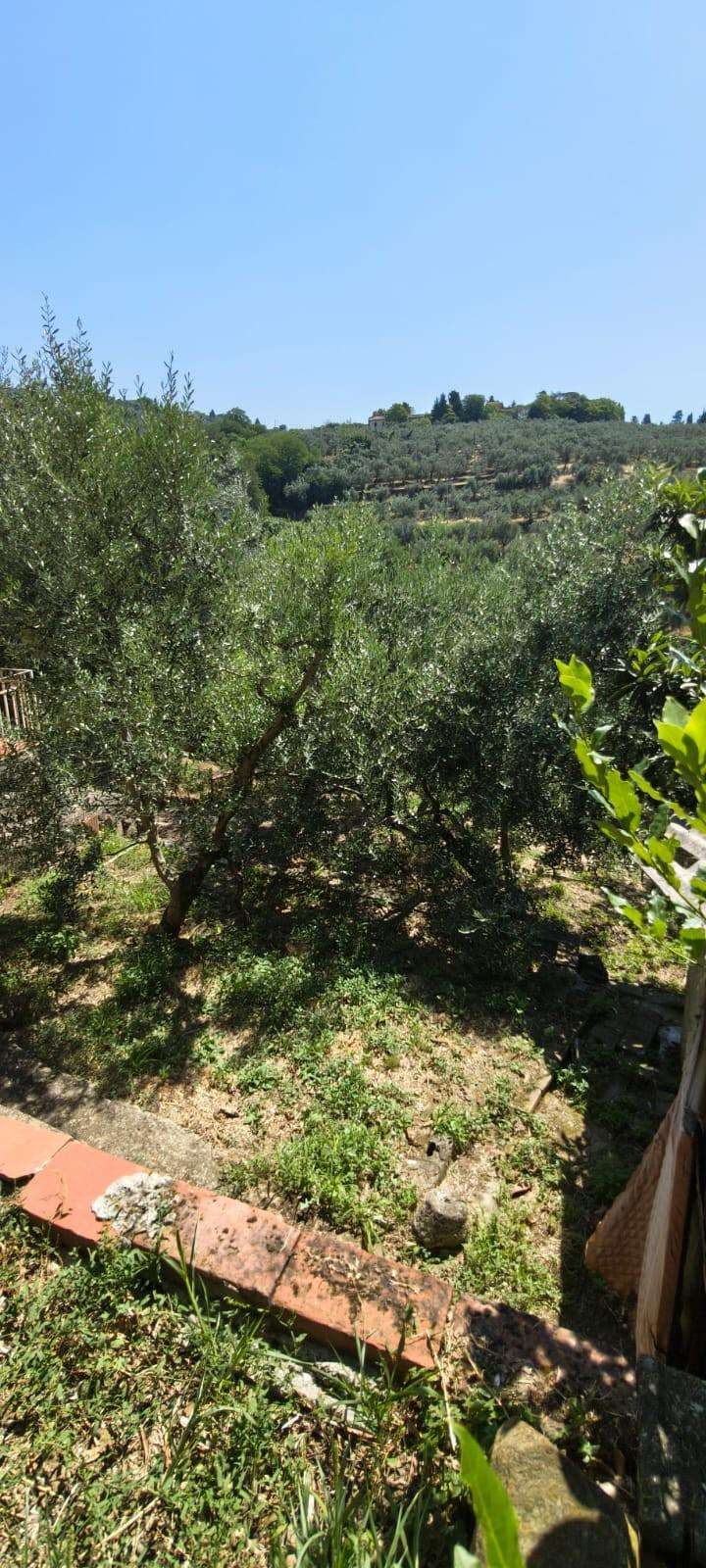  - foto 14
