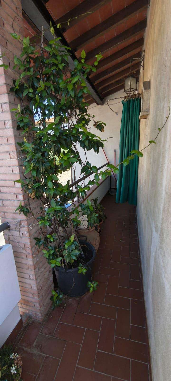  - foto 5