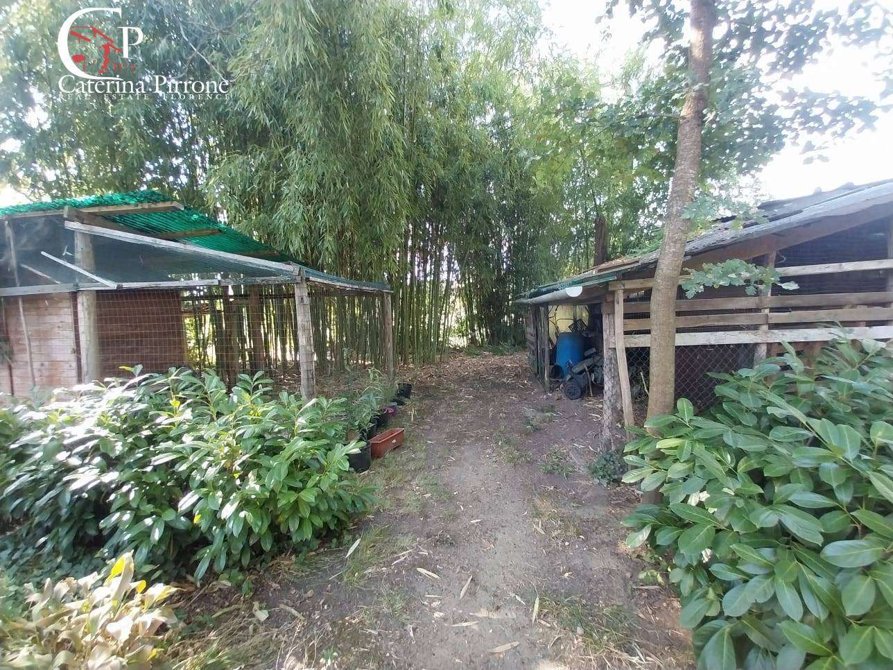  - foto 12