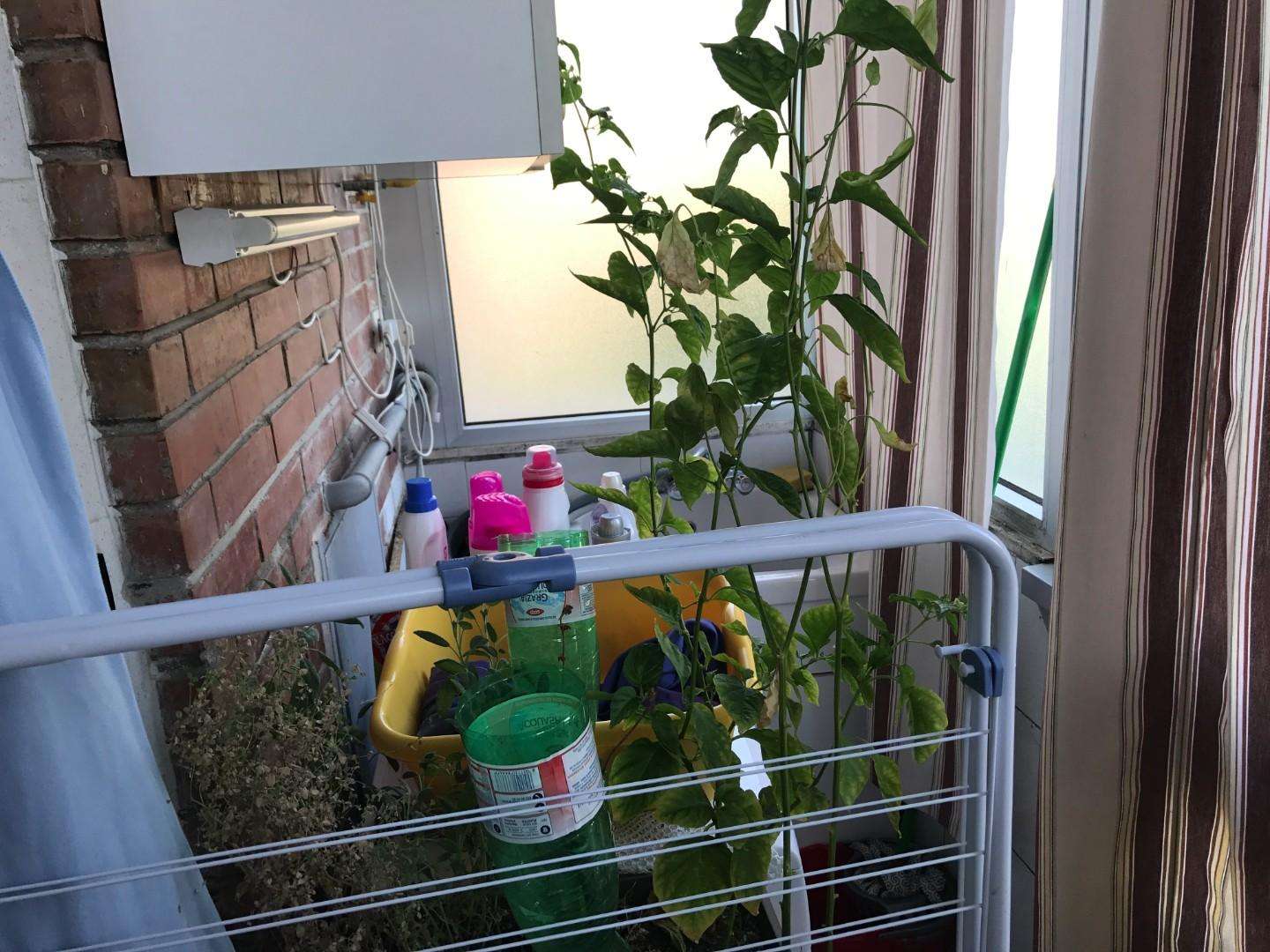  - foto 7