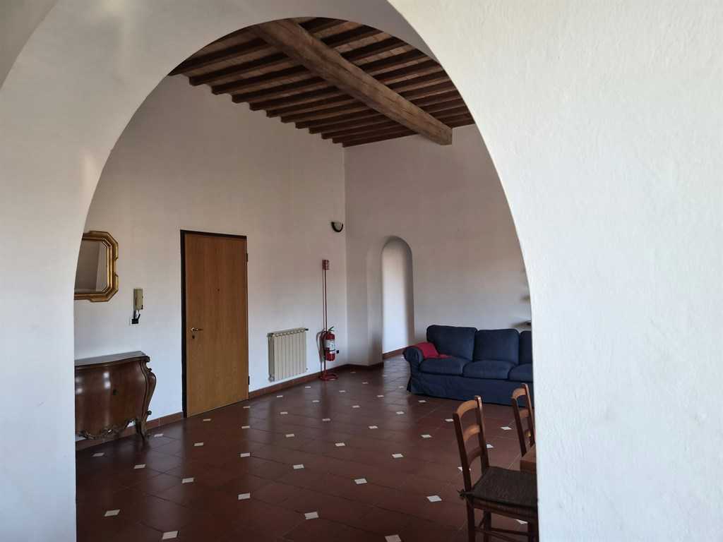  - foto 11