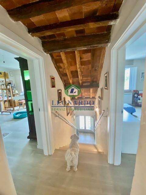  - foto 29