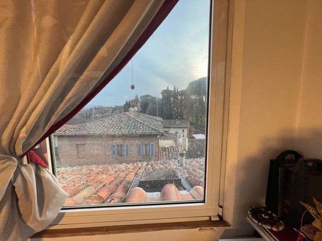  - foto 11