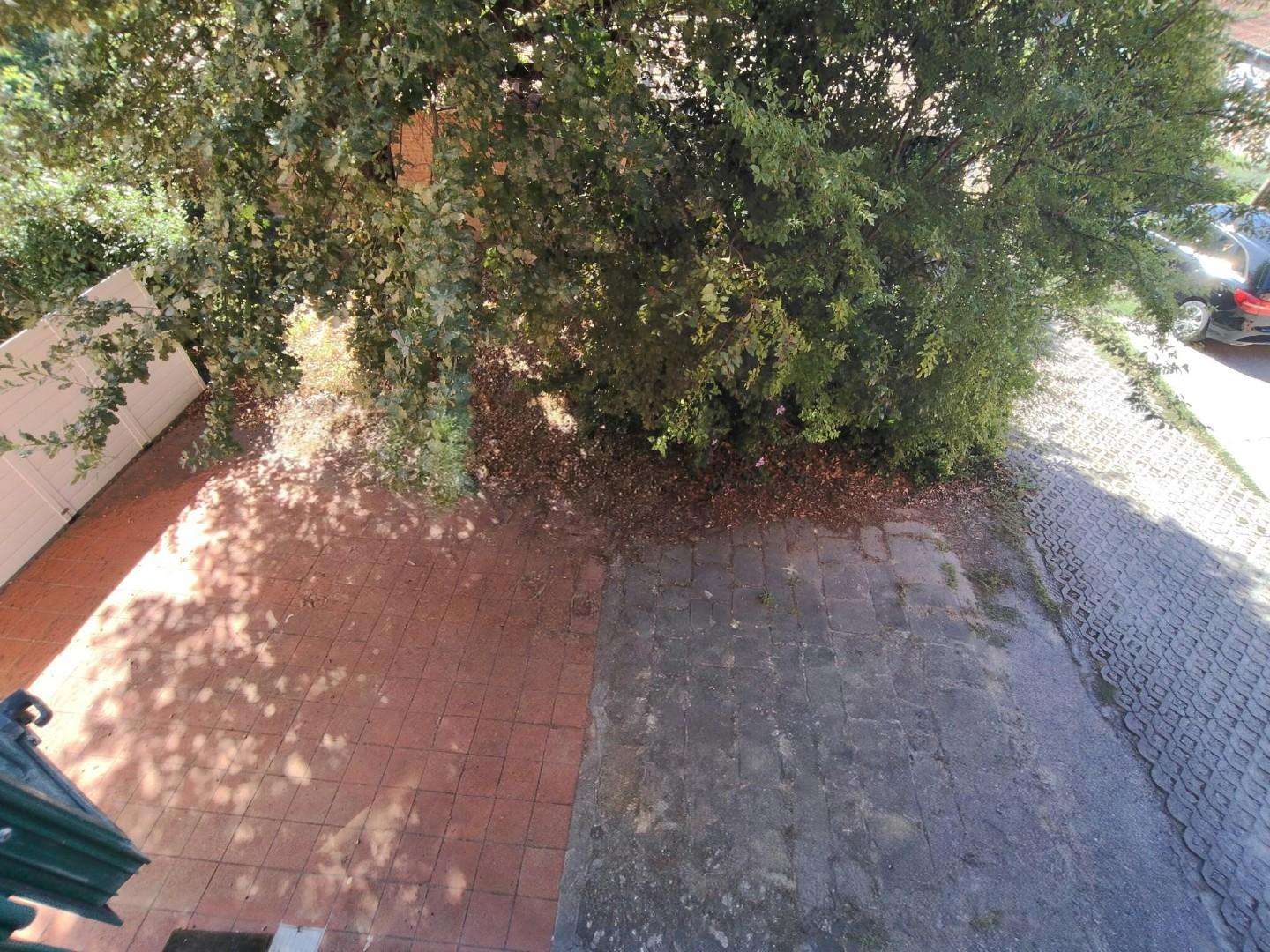  - foto 17