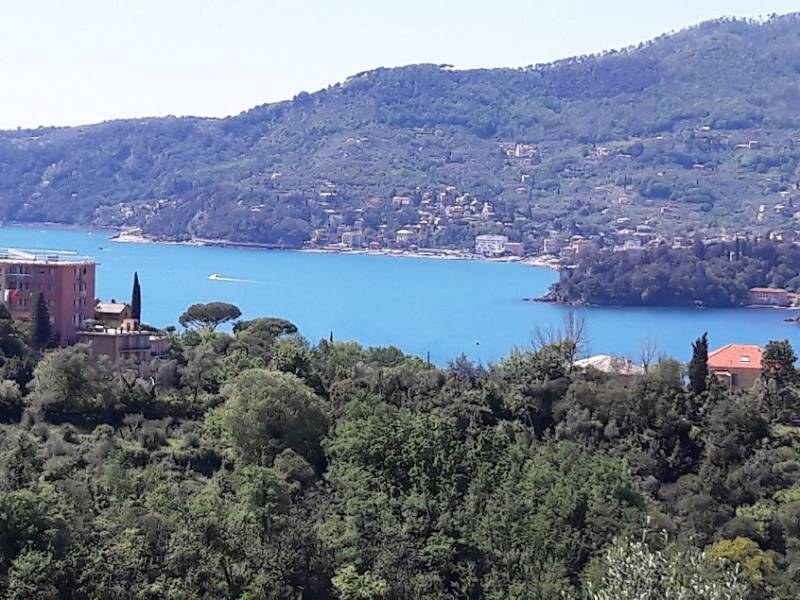 Attico - Mansarda VIA PIETRAFRACCIA, Rapallo