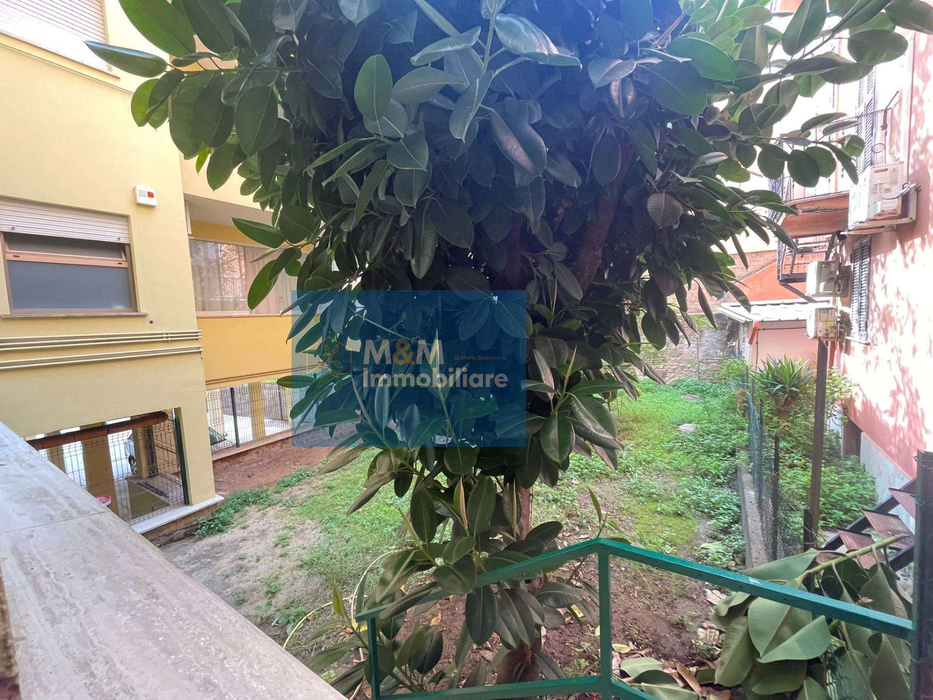  - foto 11