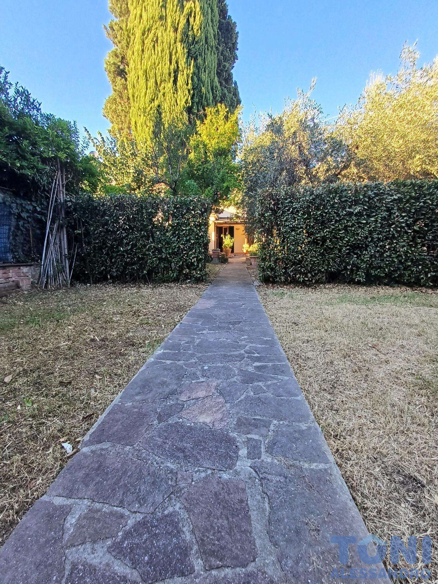  - foto 14