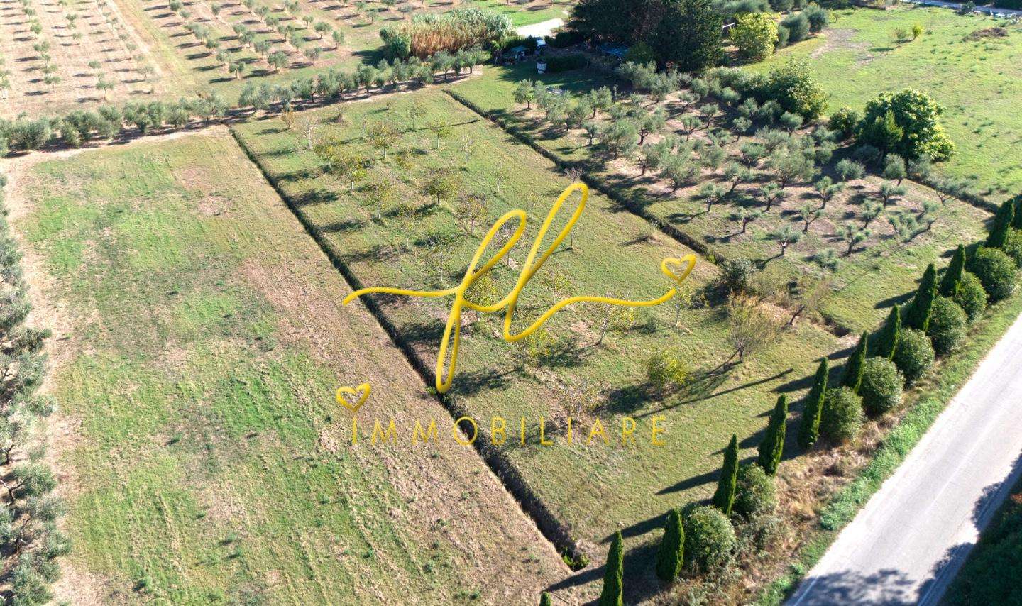 Terreno agricolo Località la Sdriscia,, Piombino