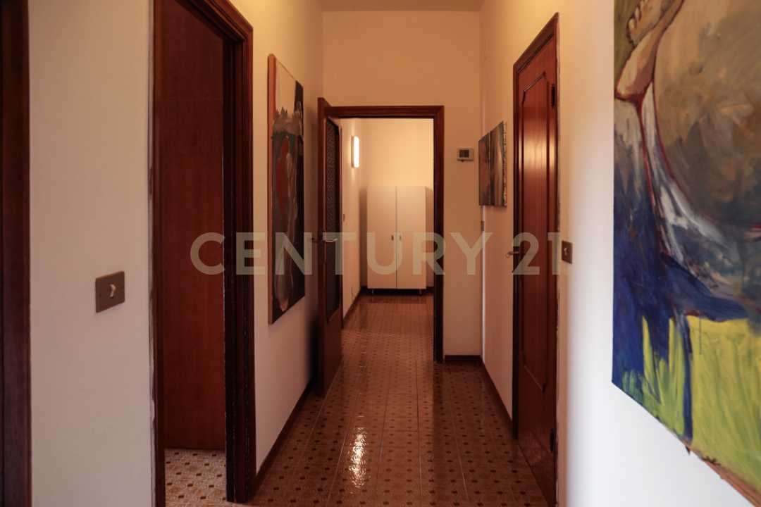  - foto 33