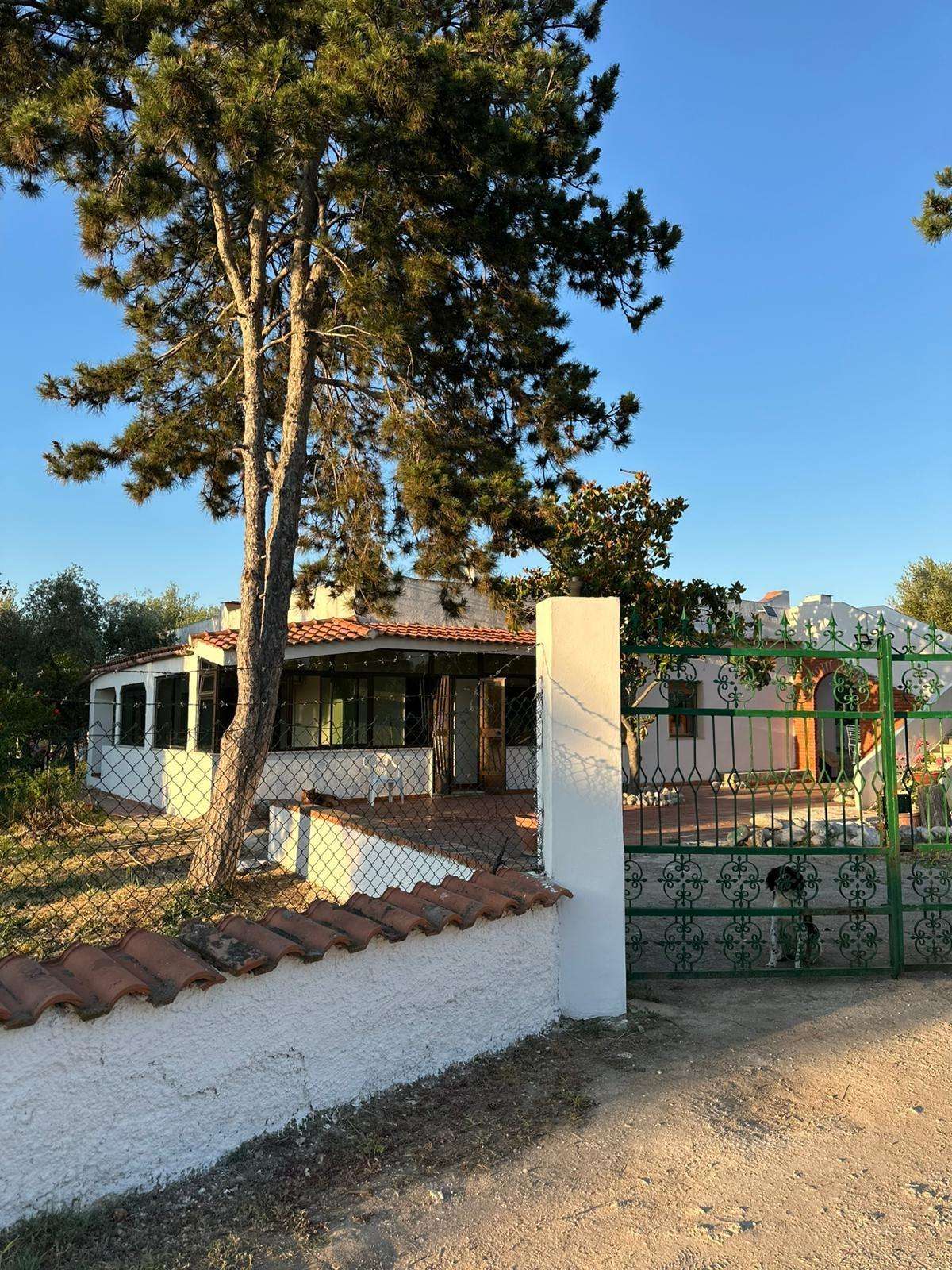  - foto 34