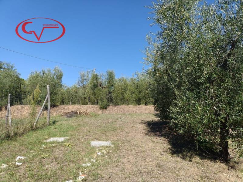  - foto 9