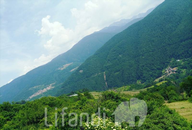  - foto 5