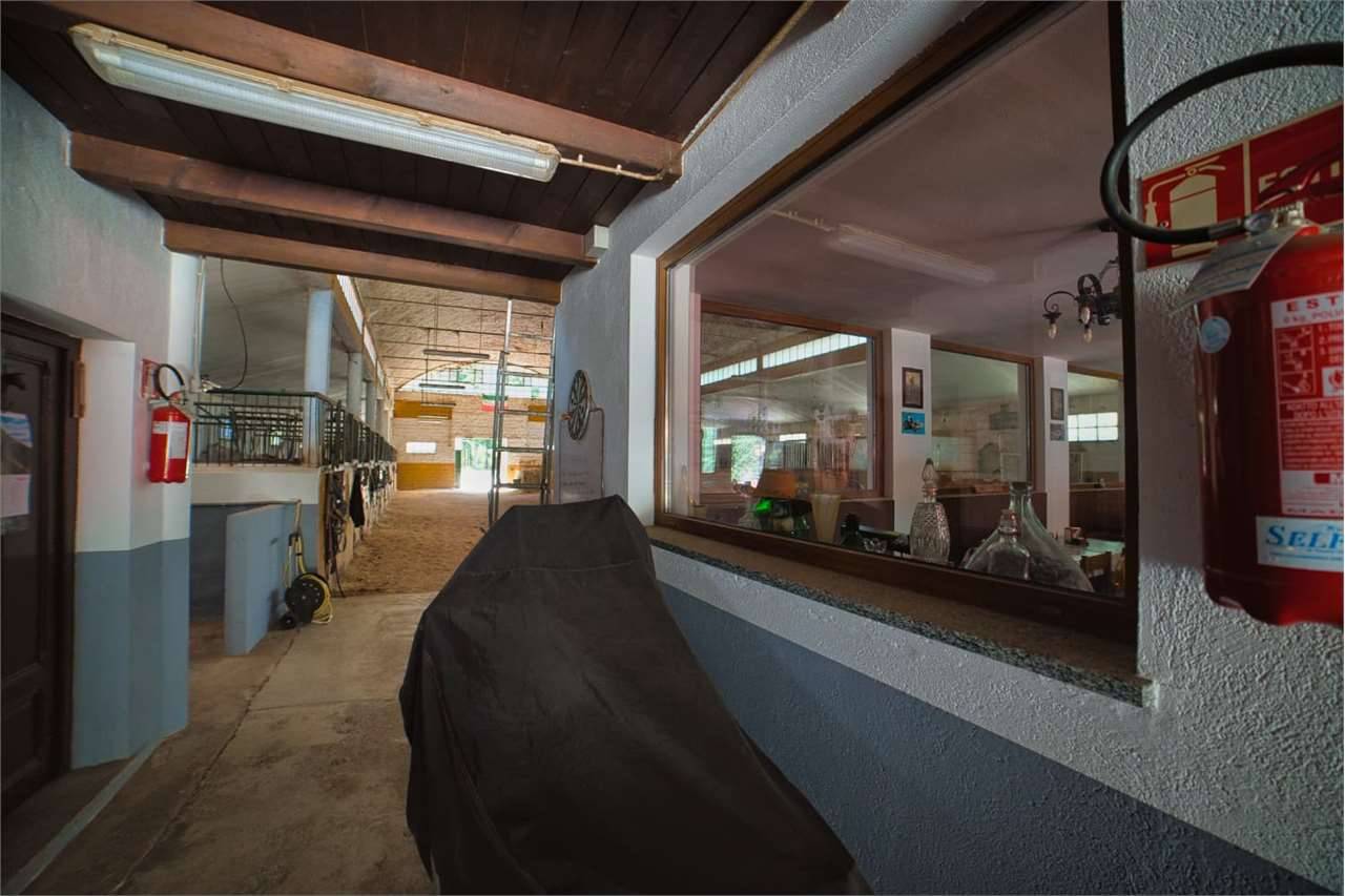  - foto 4