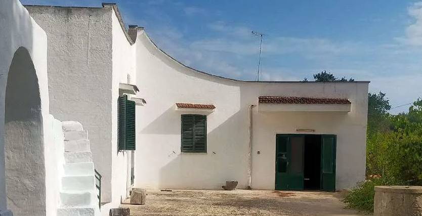 - foto 4