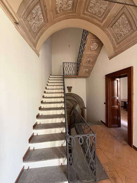  - foto 24