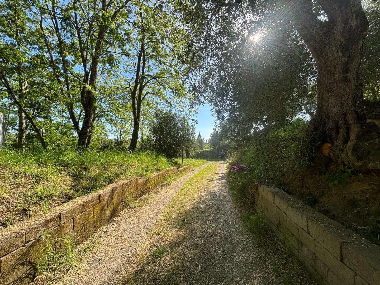  - foto 8