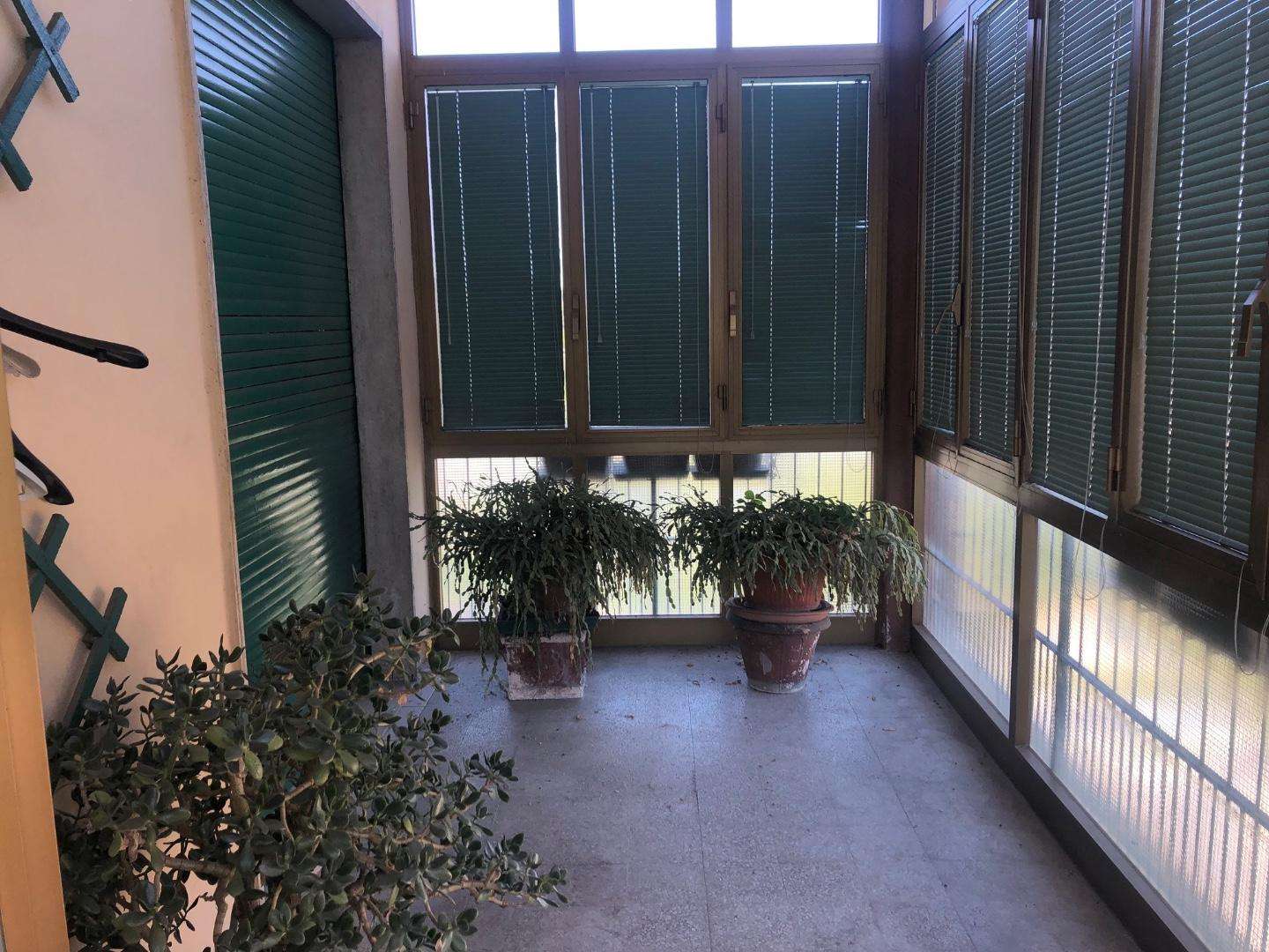  - foto 12