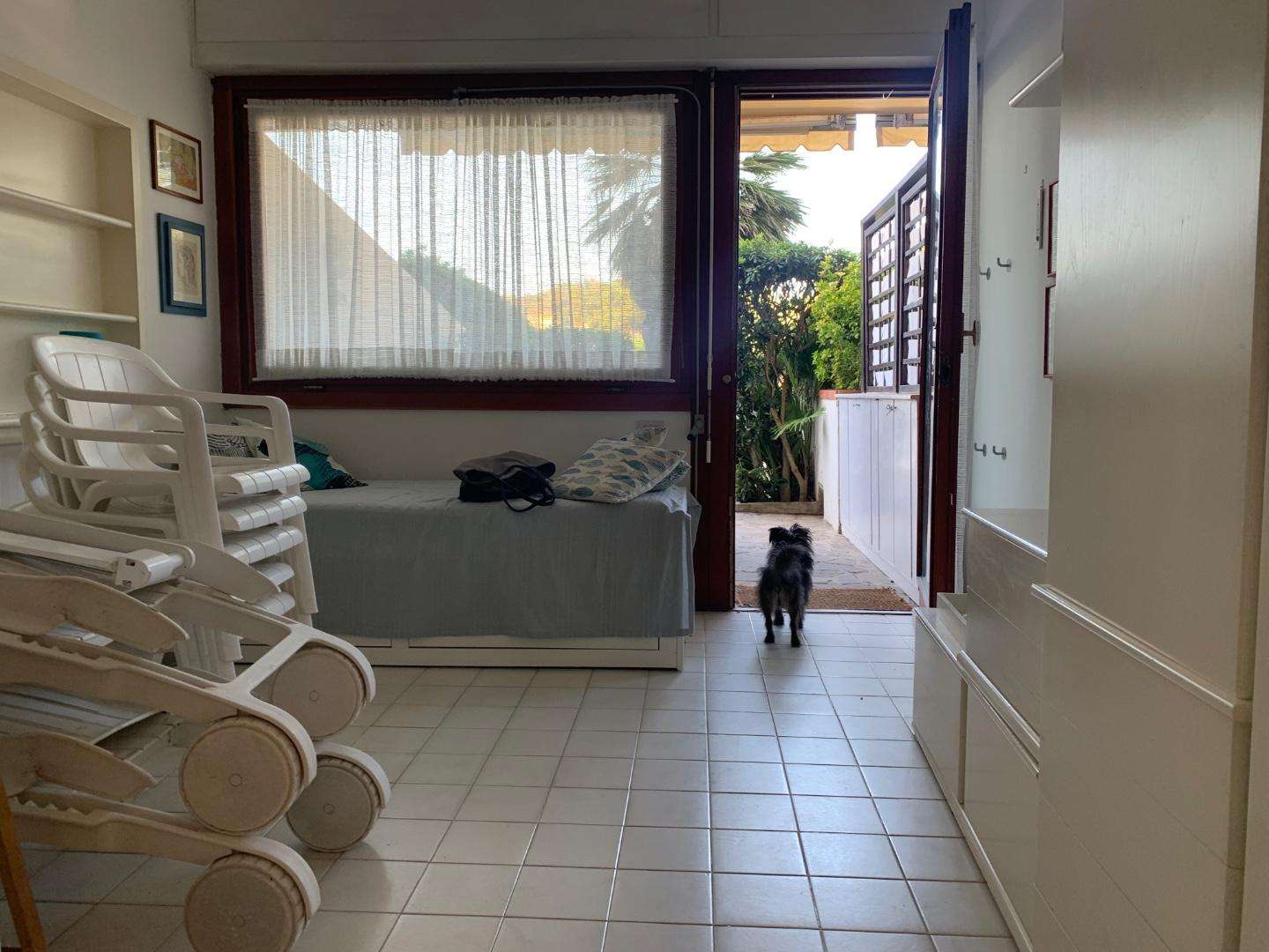  - foto 23