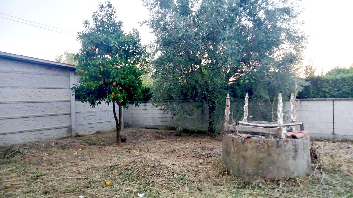  - foto 14