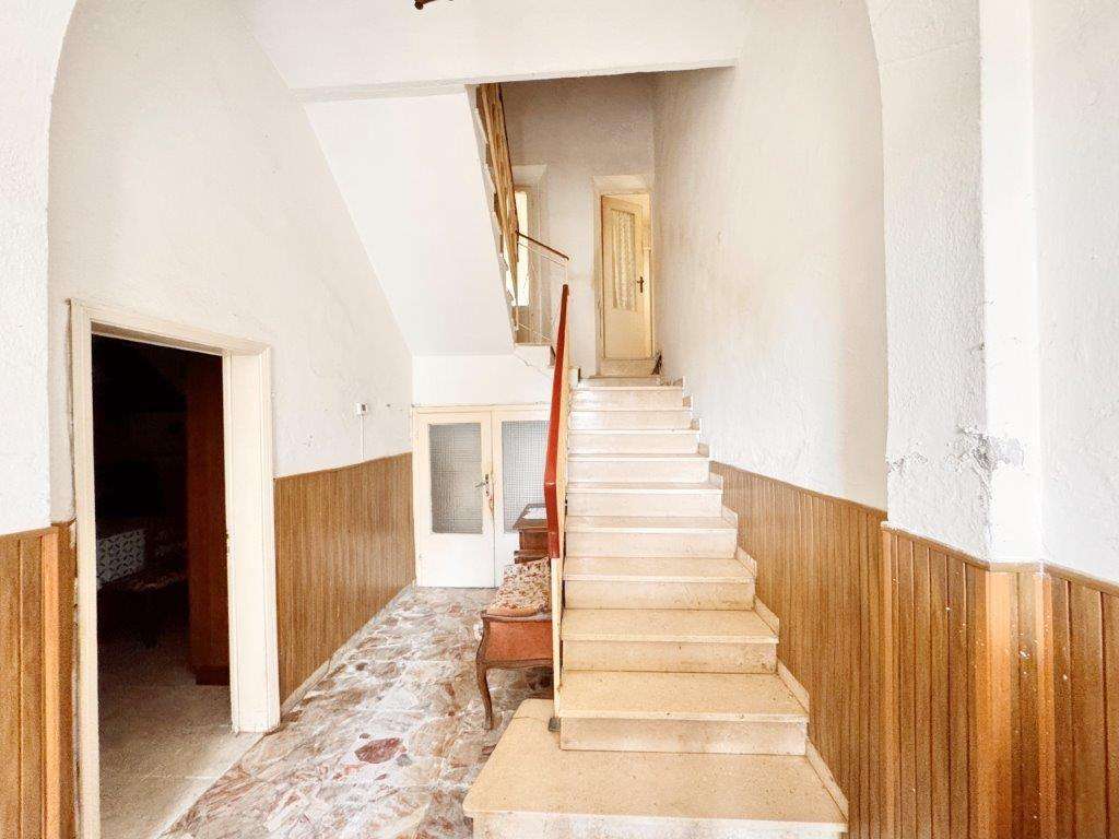  - foto 24