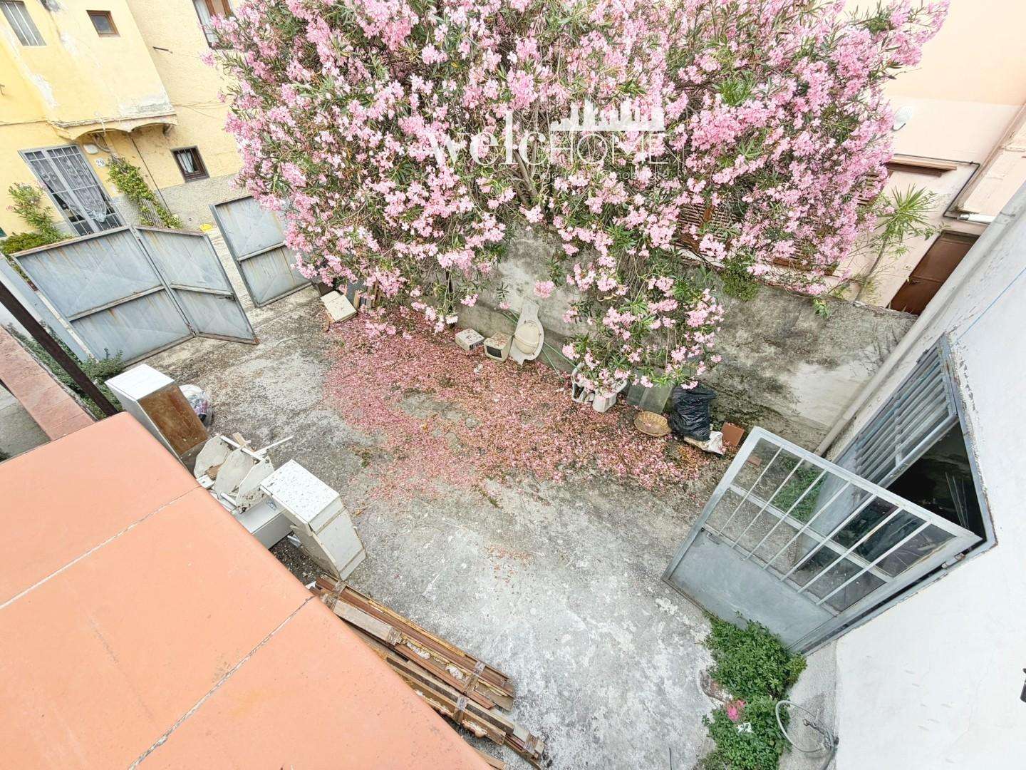  - foto 19