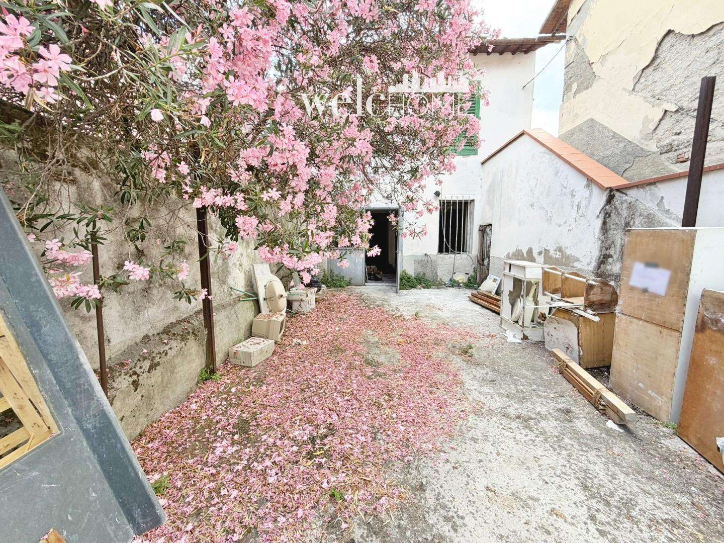  - foto 20