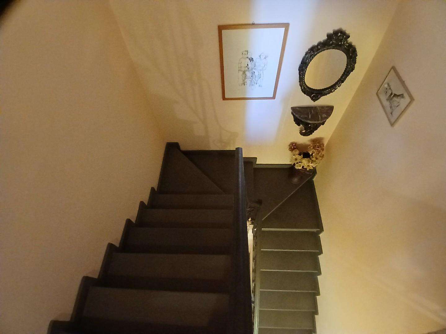  - foto 13