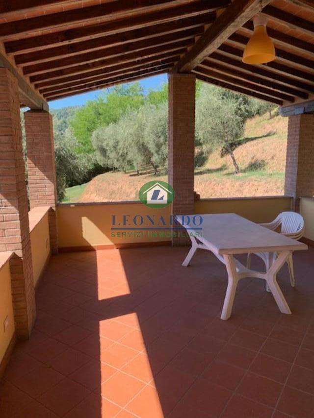  - foto 11