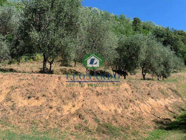  - foto 3