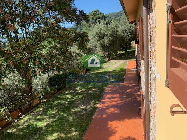  - foto 30