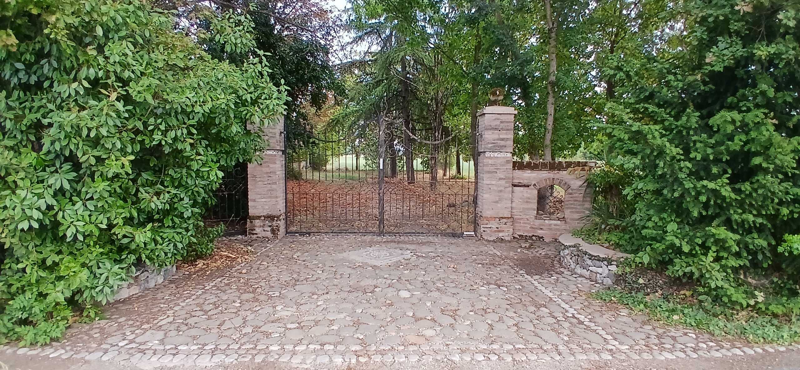  - foto 4