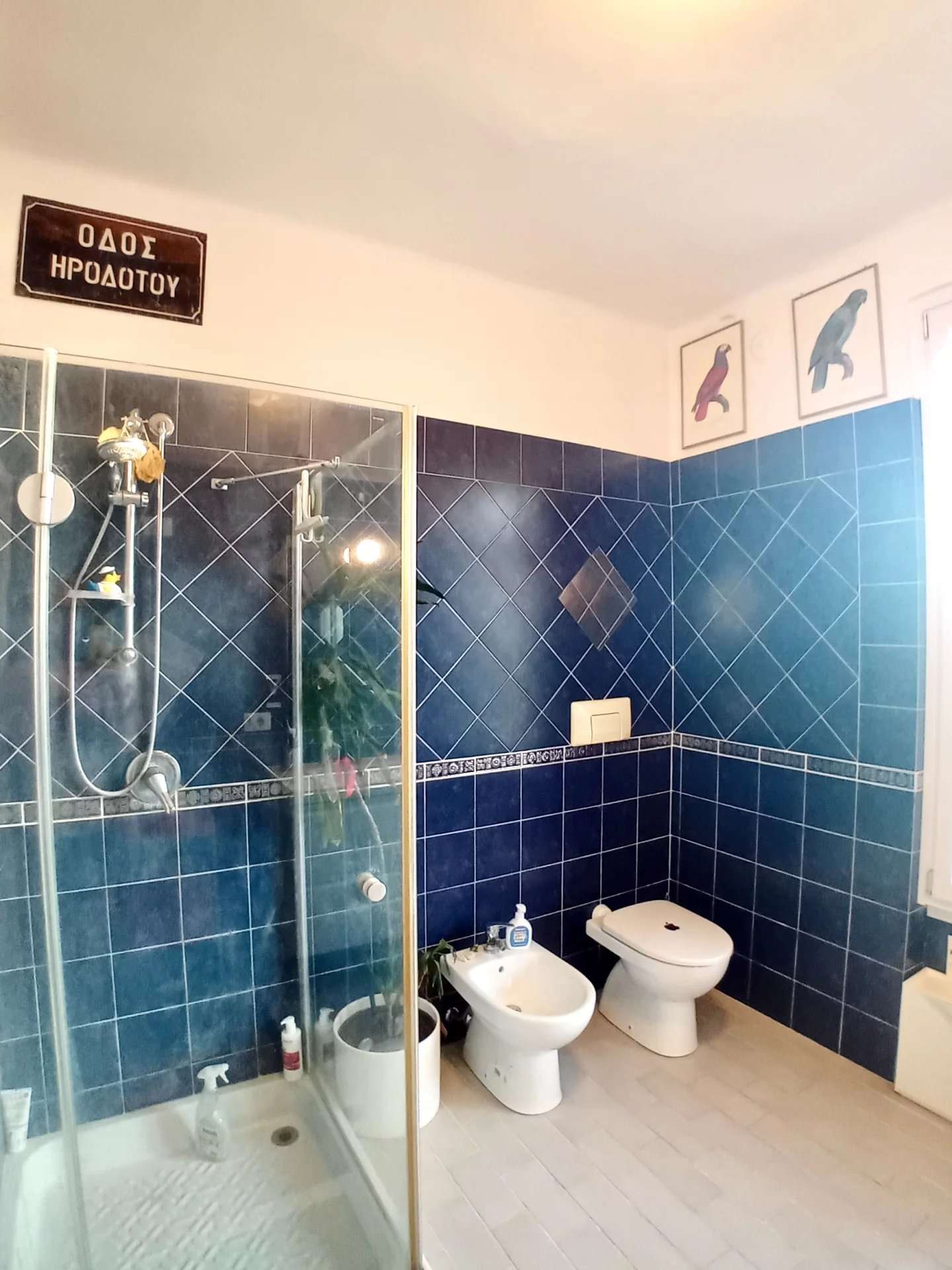  - foto 10