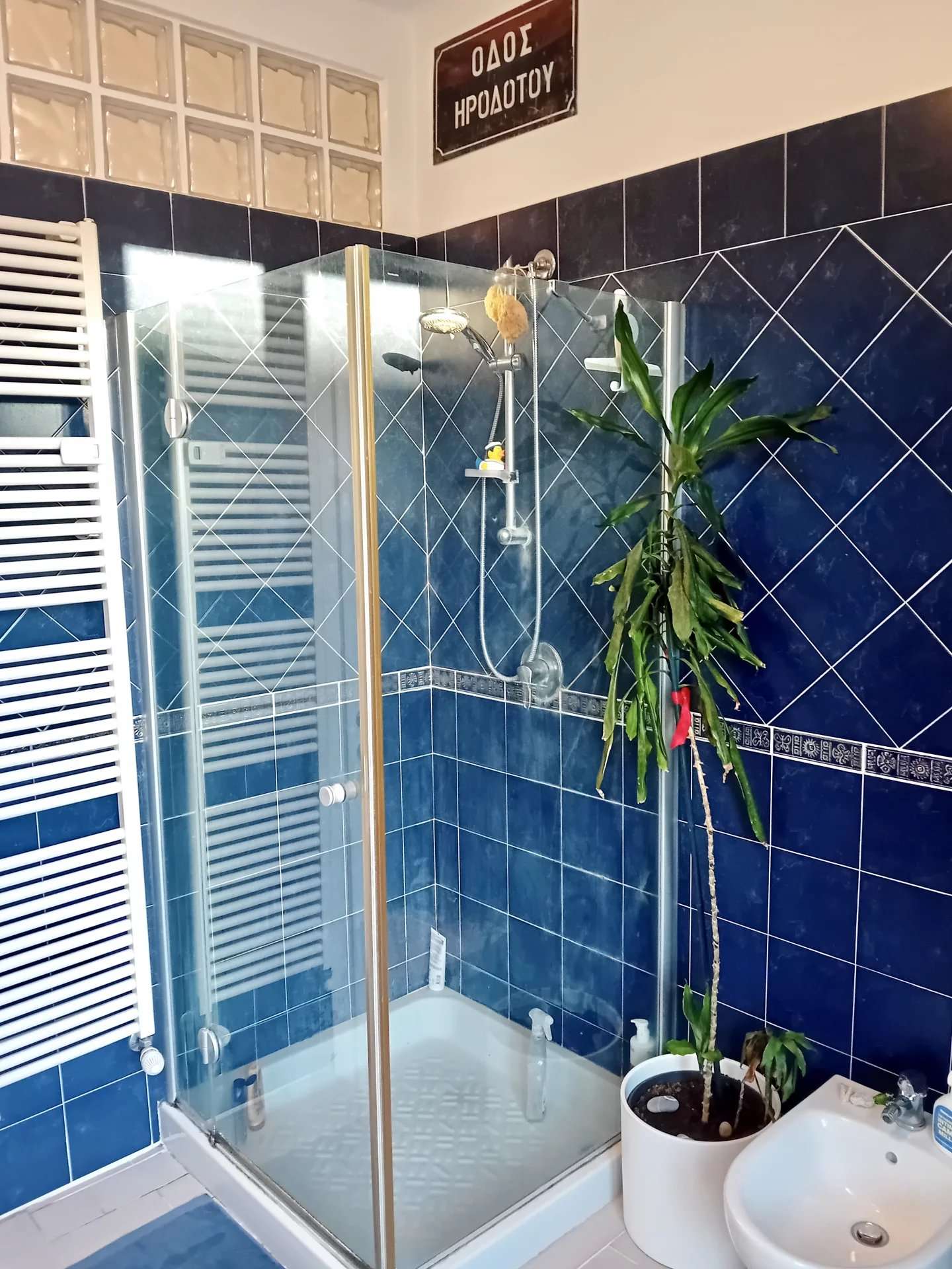  - foto 11