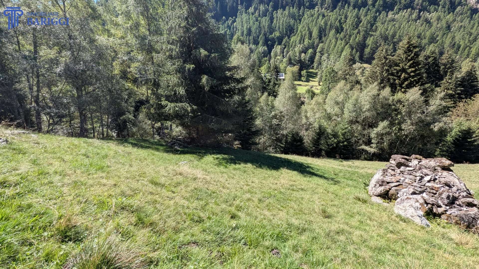  - foto 10