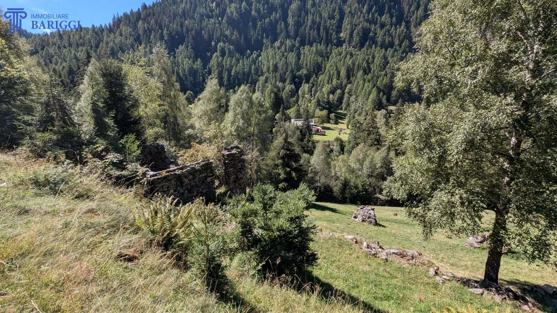  - foto 13
