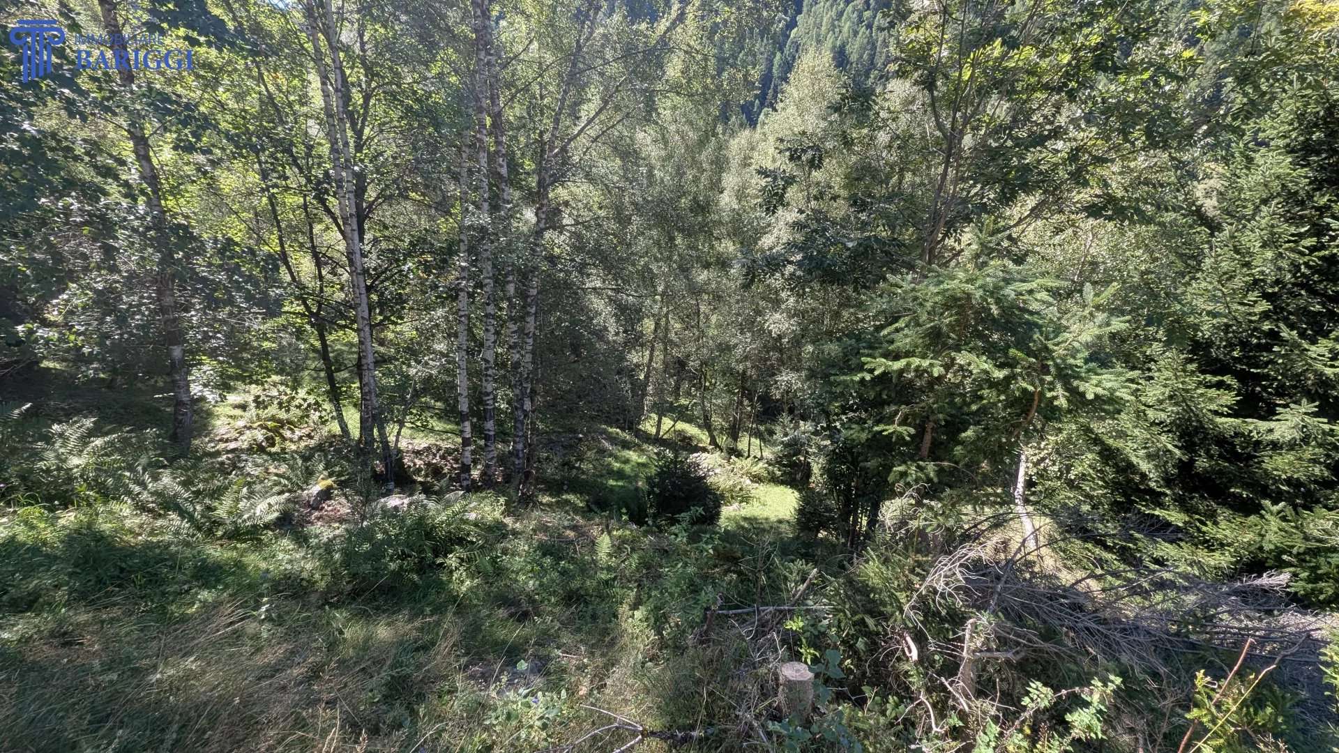  - foto 3