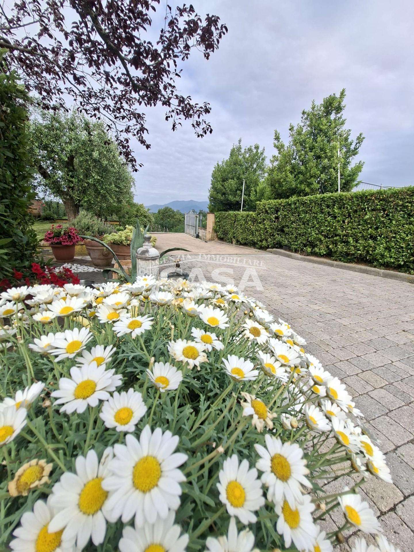  - foto 6