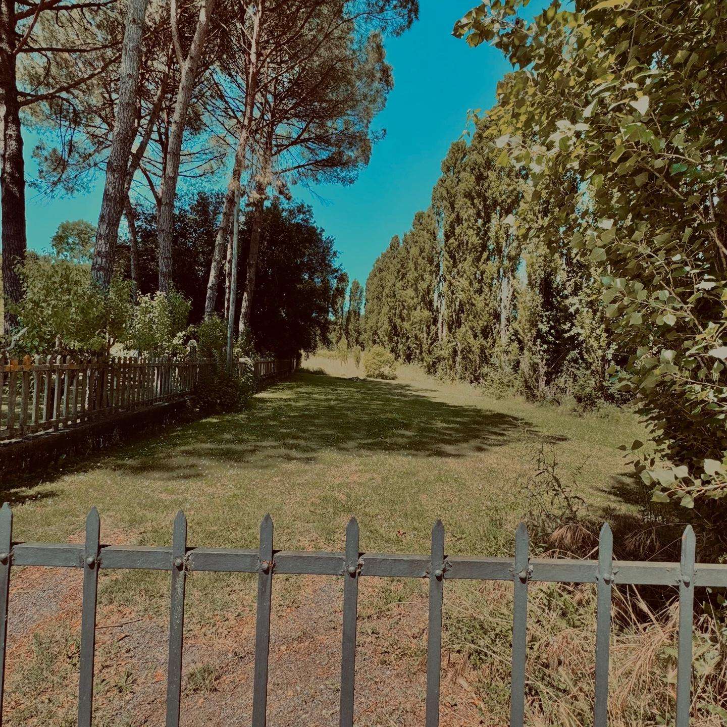  - foto 12