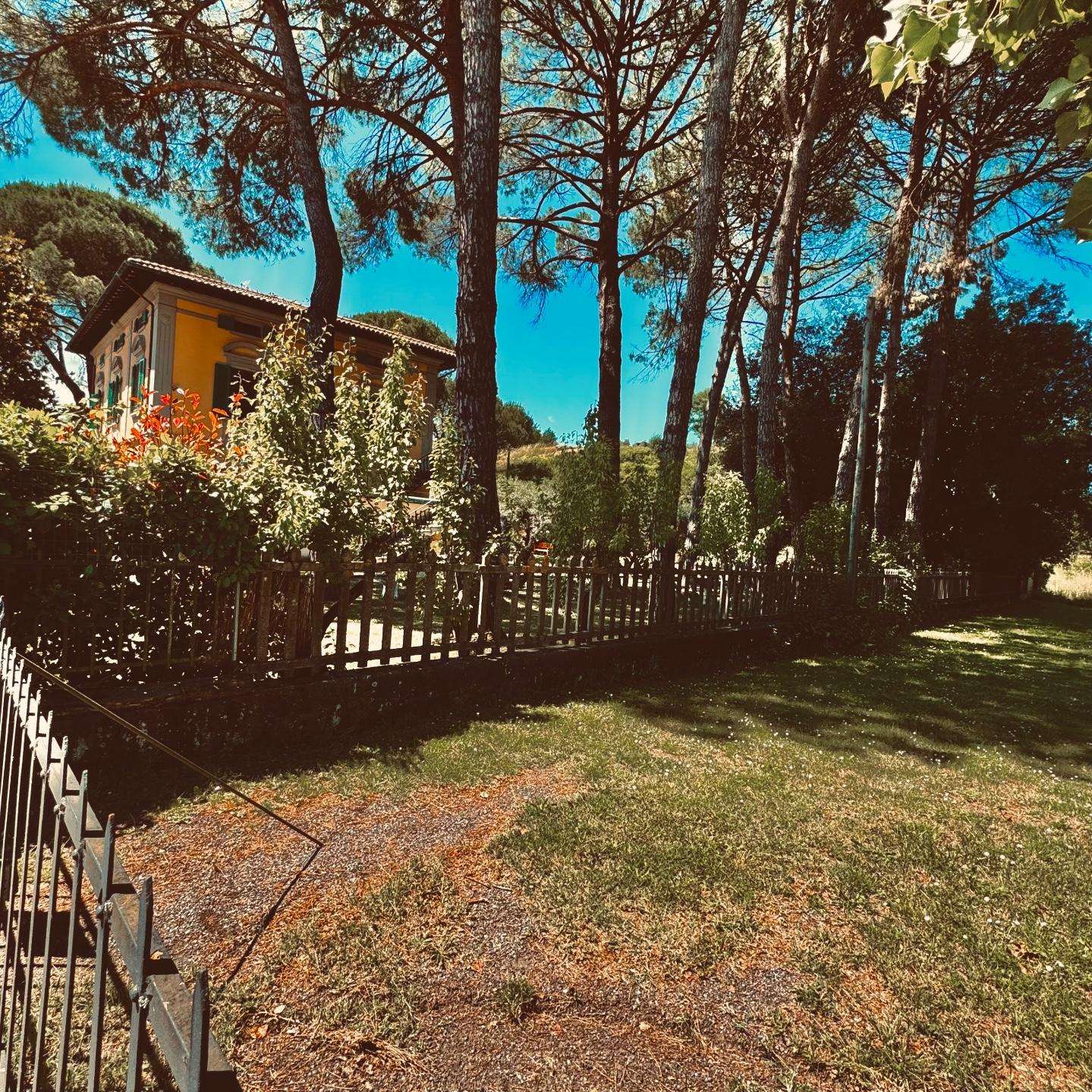  - foto 6