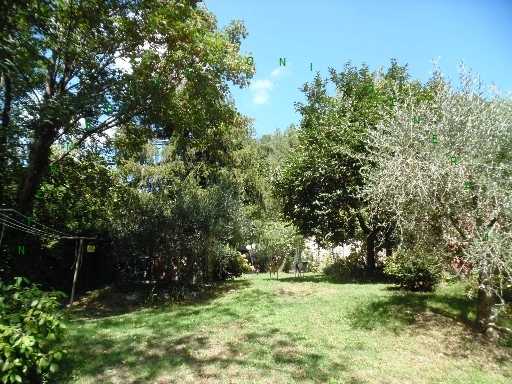  - foto 16