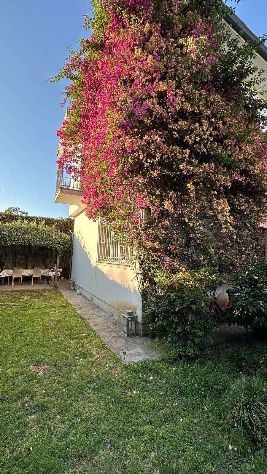 Casa Bi - Trifamiliare Via S. Giovanni Bosco,, Viareggio