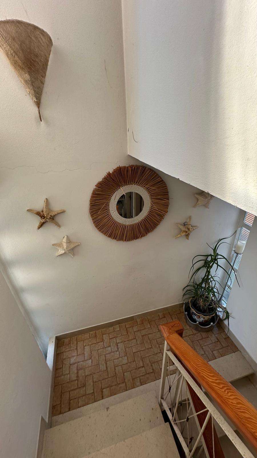  - foto 16